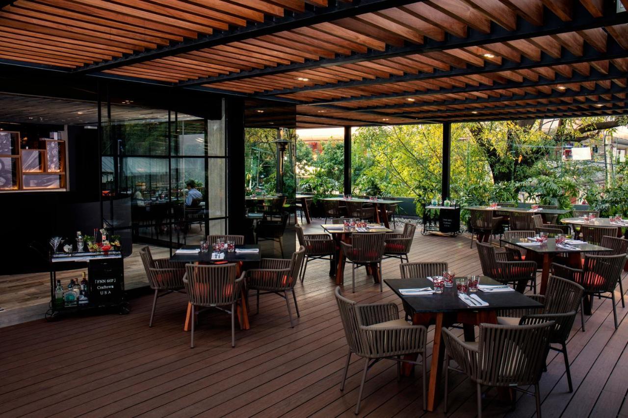 Krystal Grand Suites Insurgentes Meksyk Zewnętrze zdjęcie The Terrace